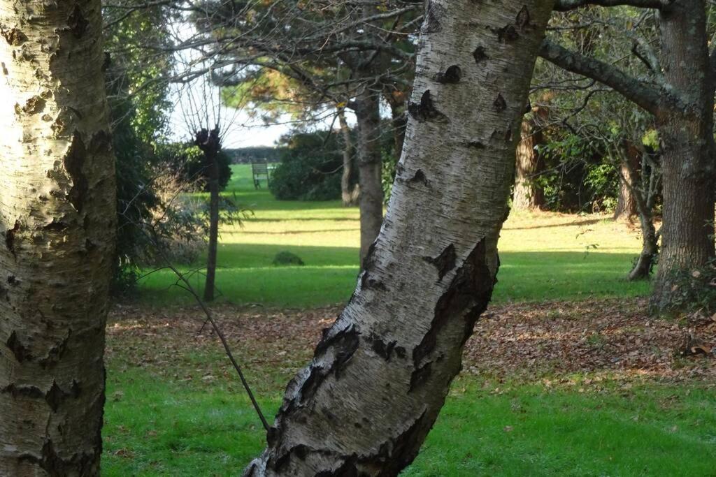 Ty Too, Dans Les Bois, Face Mer Pénestin Exterior foto